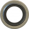 DOWTY SEALS (1/8 BSP) (50)