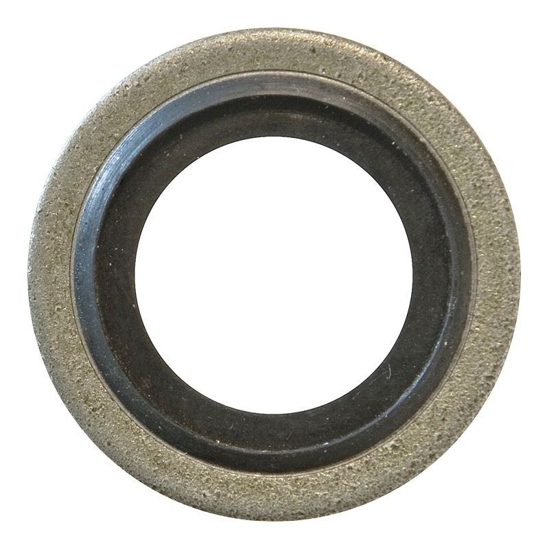 DOWTY SEALS (1/8 BSP) (50)