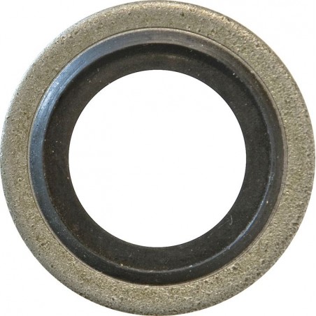 DOWTY SEALS (1/8 BSP) (50)