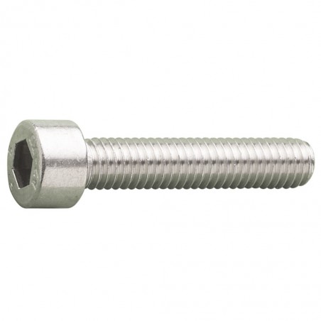 M8 x 20 A2 Stainless Socket Cap Screw (DIN 912)