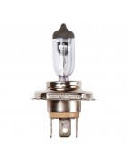 12v Bulbs